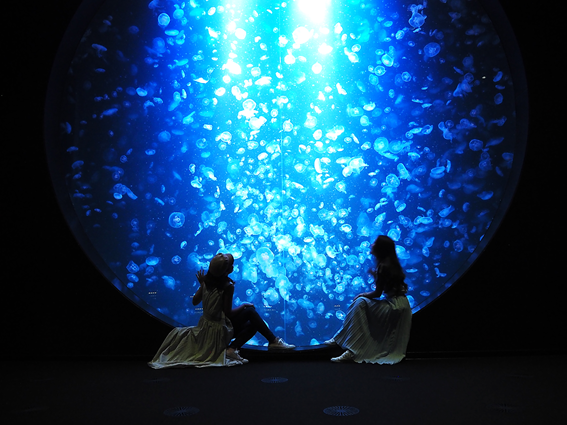 【山形】庄内のおすすめグルメ＆絶景観光スポット8選！週末女子旅を1泊2日で♡