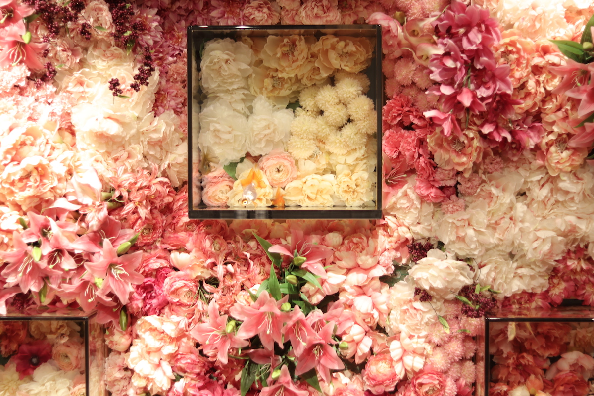 ROOM3 お花&times;金魚