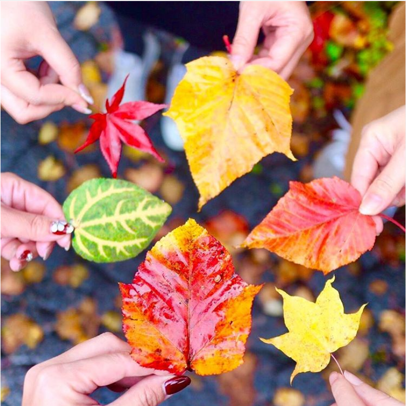 昨年度入賞作品例（@namuyukaさん）