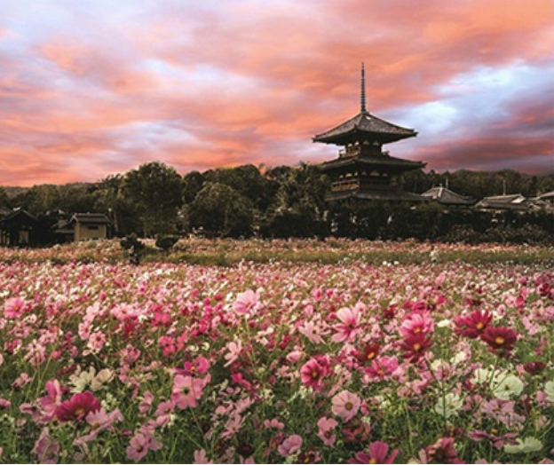 昨年度入賞作品例（@odekake7さん）