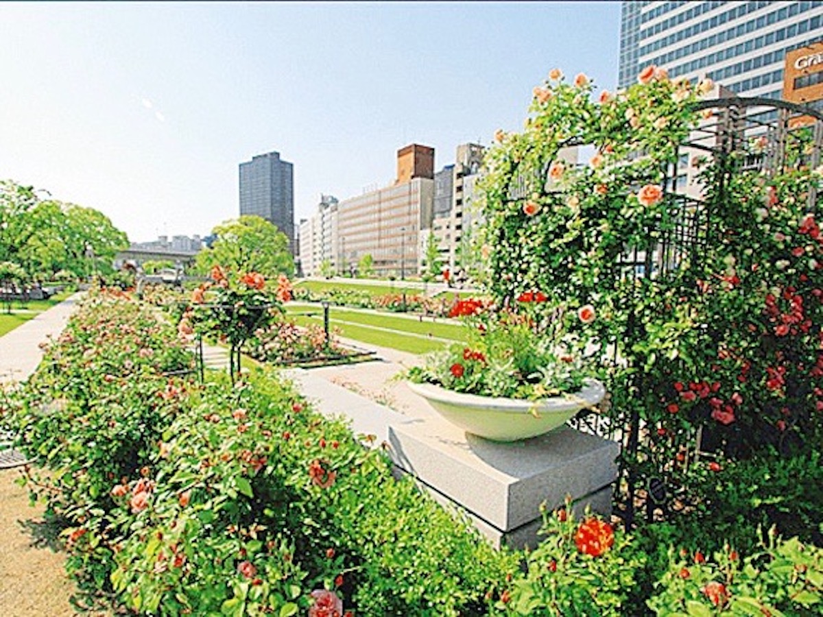 今が見ごろのバラがお出迎え！大阪・中之島～堀江の多彩な専門店めぐり