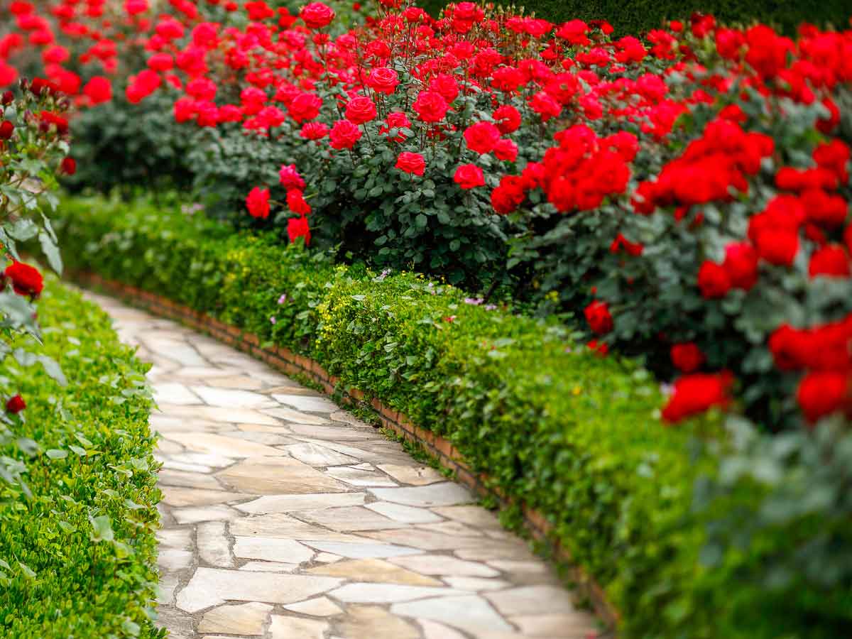 ホテルニューオータニ