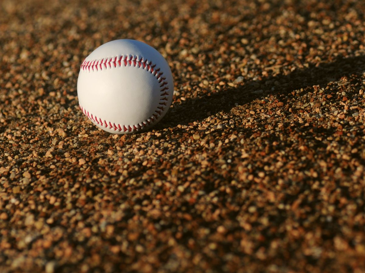 これが日ハムの北海道愛！ 転職のプレゼン資料にネット民ザワつく…