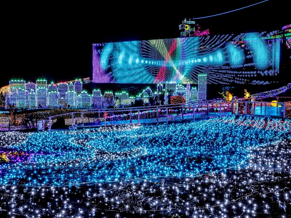 イルミは見るだけじゃもったいない！伊豆高原の夜を思いっきり遊んじゃえ～