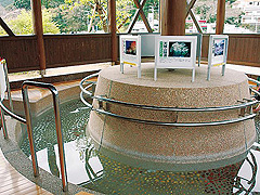 河津桜の名所にあるさくらの足湯処 