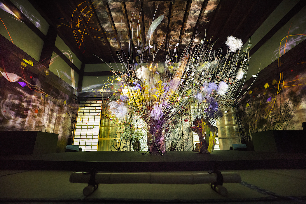 「鳳凰」(※写真は昨年のもの)