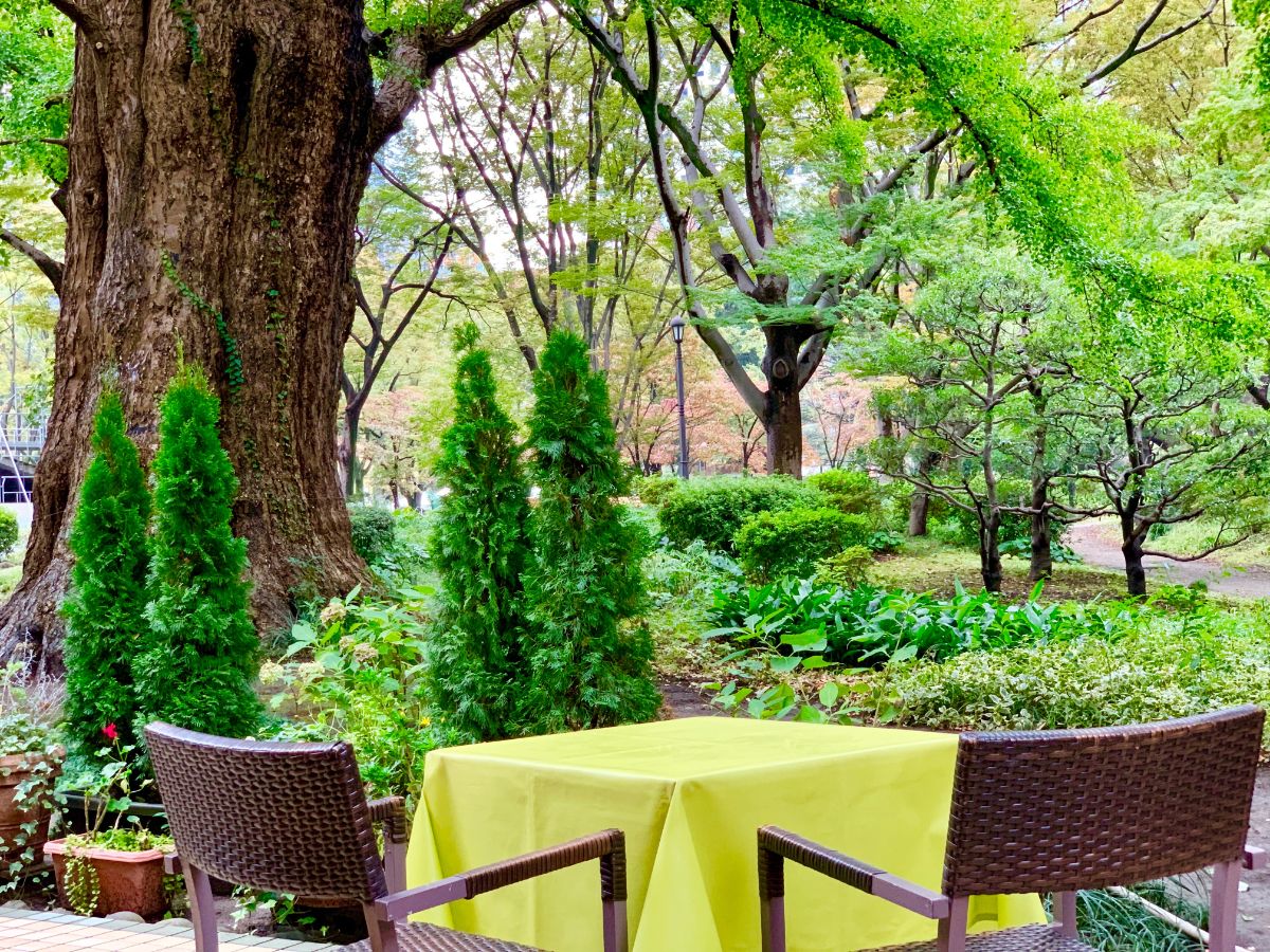 東京にこんな場所が!?1人で非日常な贅沢時間を過ごせる癒しのテラスカフェ