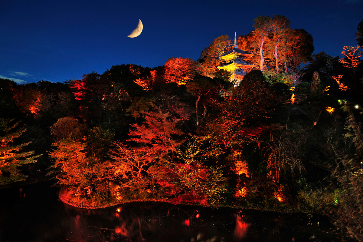 ヨガに落語？景色だけじゃない、紅葉＋αを楽しむ都内のスポット3選