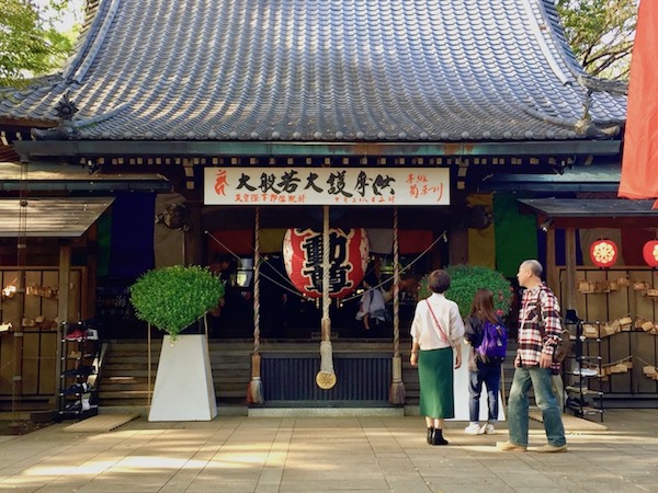 この日は「菊まつり」が行われていて、いつもとは少し違った装い。