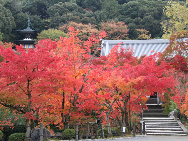 永観堂 禅林寺