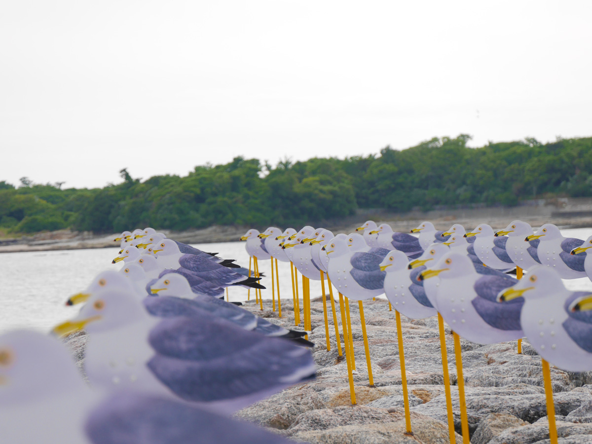 『カモメの駐車場』制作：木村崇人
