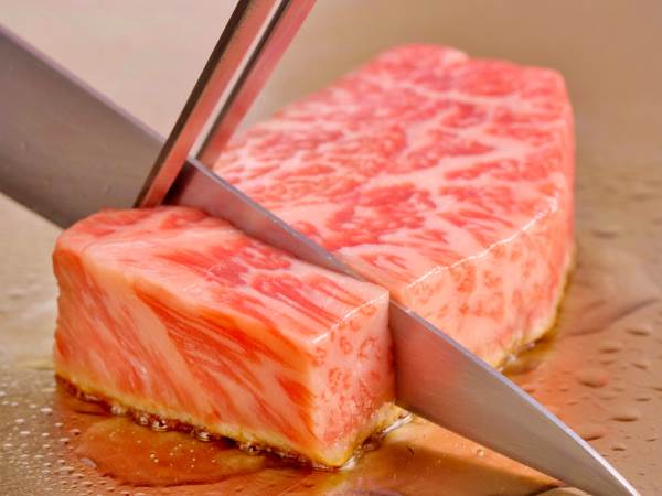 ※写真はイメージです