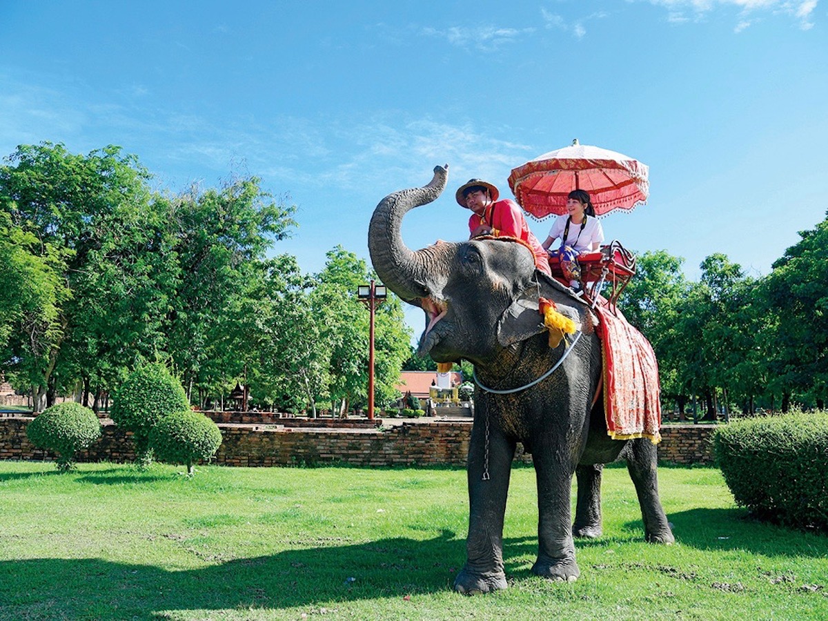 タイで一度はやってみたい異文化体験ベスト3！エレファントライド＆トゥクトゥク＆水上マーケット