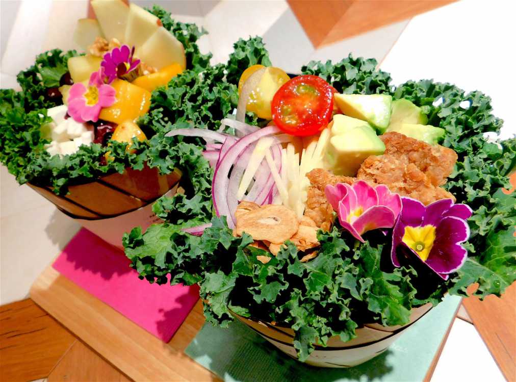 写真手前：大豆ミートがおいしいオハナサラダ、写真奥：ケールやソイチーズ、フルーツがたっぷり入ったアロハパッションサラダともに1150円