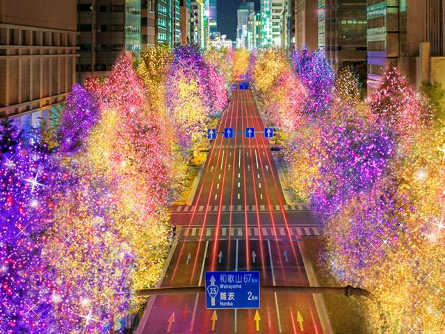 大阪・光の饗宴2019／（C）Festival of the Light in Osaka Executive Committee