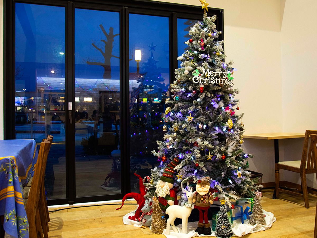 東京テレポート駅 お台場SKYツーリストインフォメーションセンターのクリスマスツリー