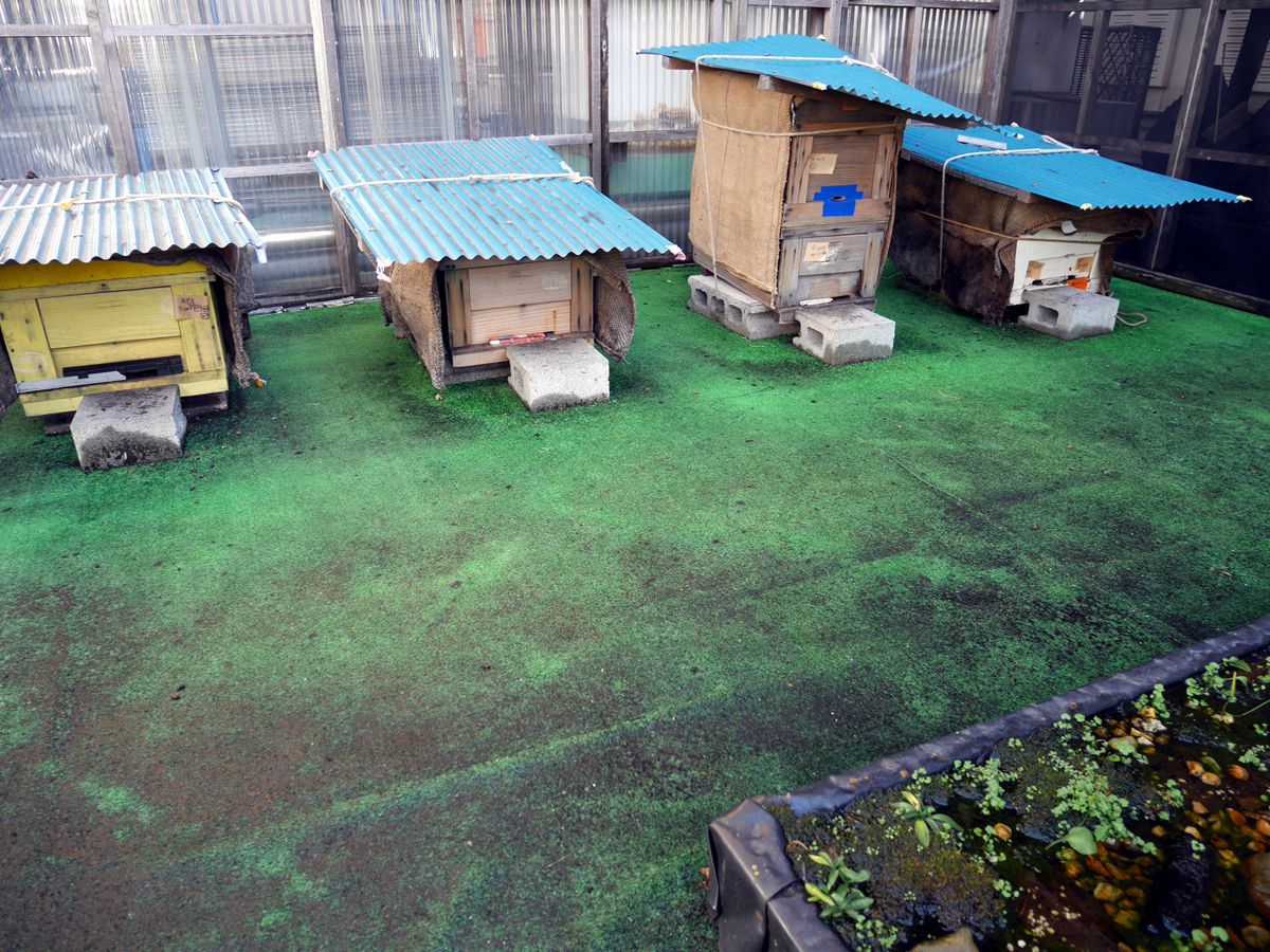  普段は見学できません。時々見学ツアーが開催されています。