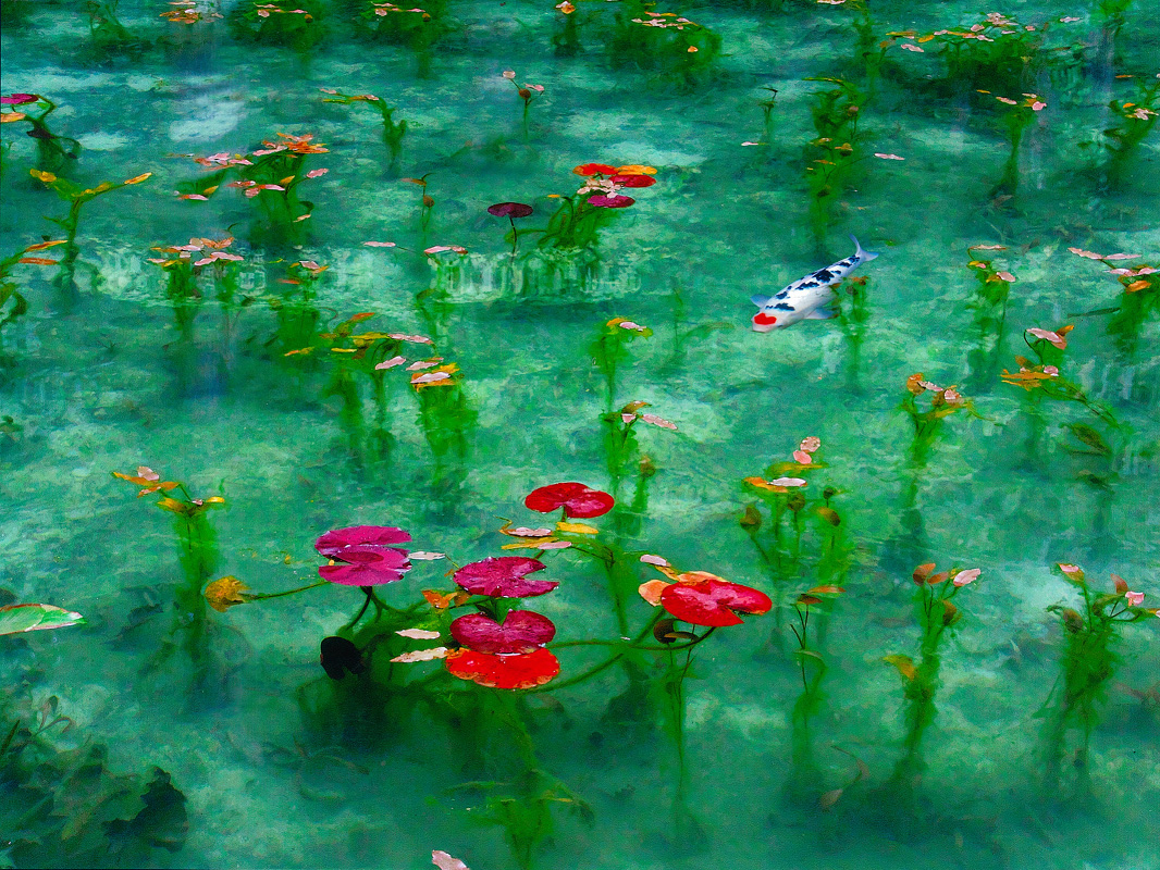 バスでラクラク週末ちょい旅♪“冬のぎふ”は女子の“スキ”がいっぱい！