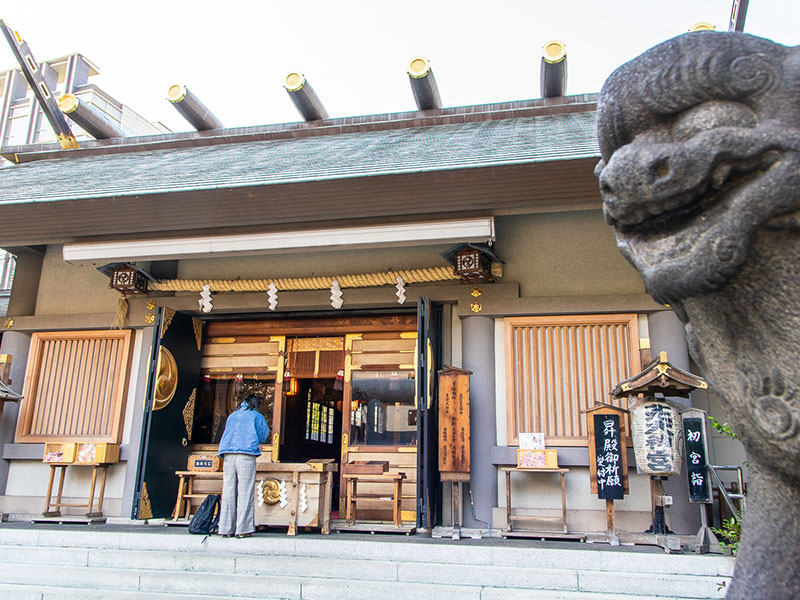 近代的な社殿と対比する狛犬