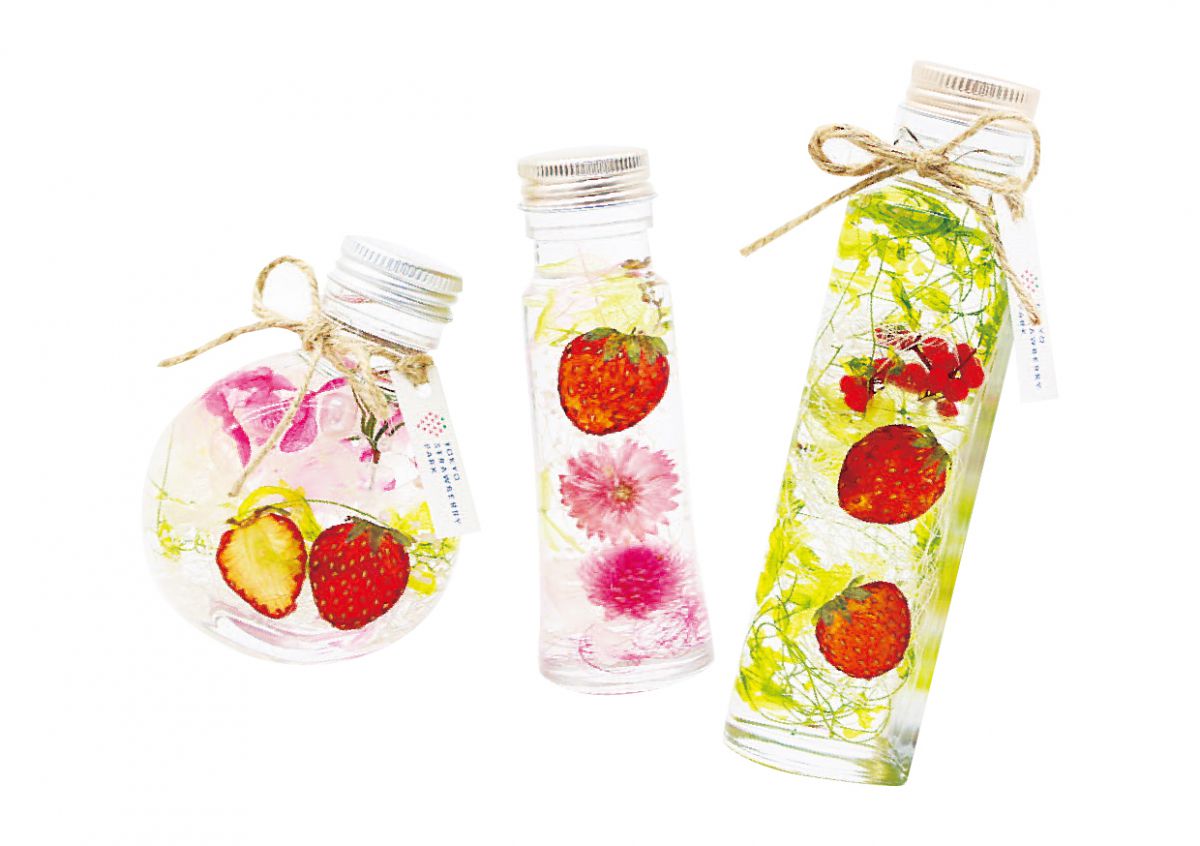 左からMサイズ平丸、Sサイズ、Mサイズロング