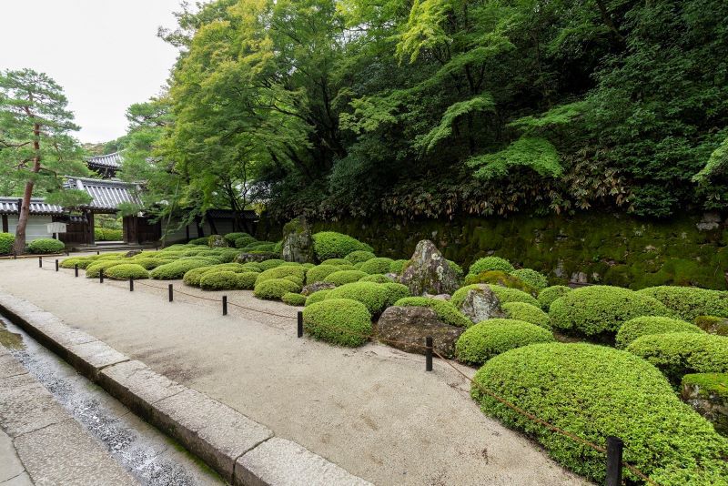 知恩院方丈庭園