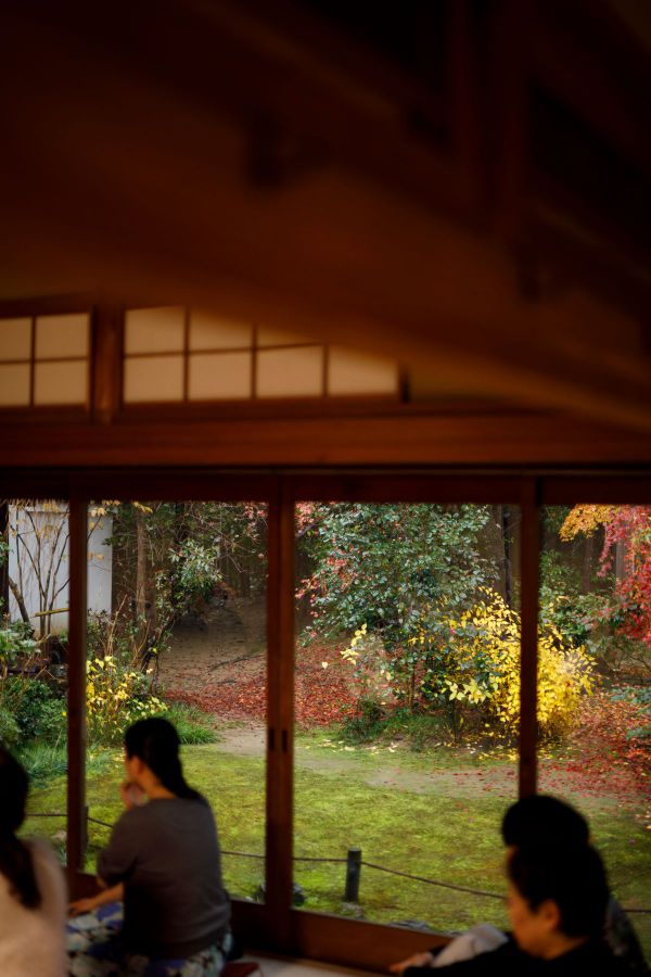 本当に景色がキレイでした。雨でしたしなおさら！