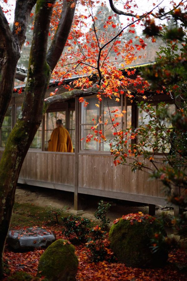 冬の京都、散りかけの紅葉も楽しめました。