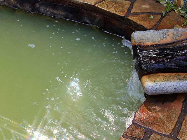 うぐいす色のにごり湯の源泉かけ流し温泉