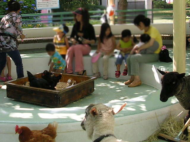 ふれあいコーナー