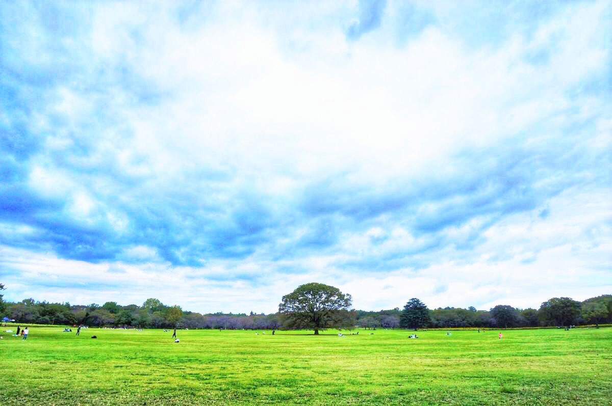 国営昭和記念公園