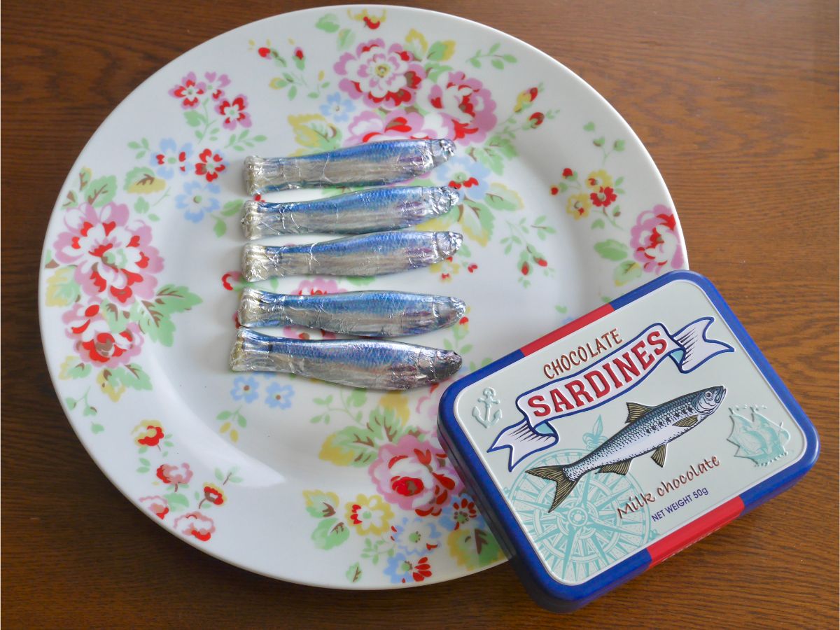 チョコサーディン缶 518円（税込）