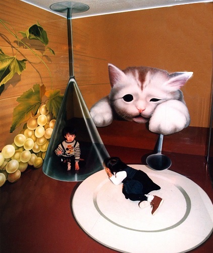 猫の食卓