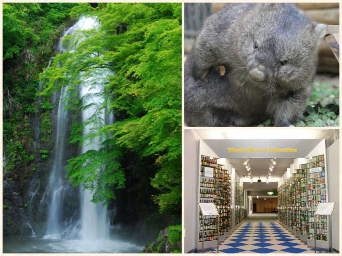 入場料0円で楽しめる！次の3連休に行きたい大阪のおすすめスポット4選