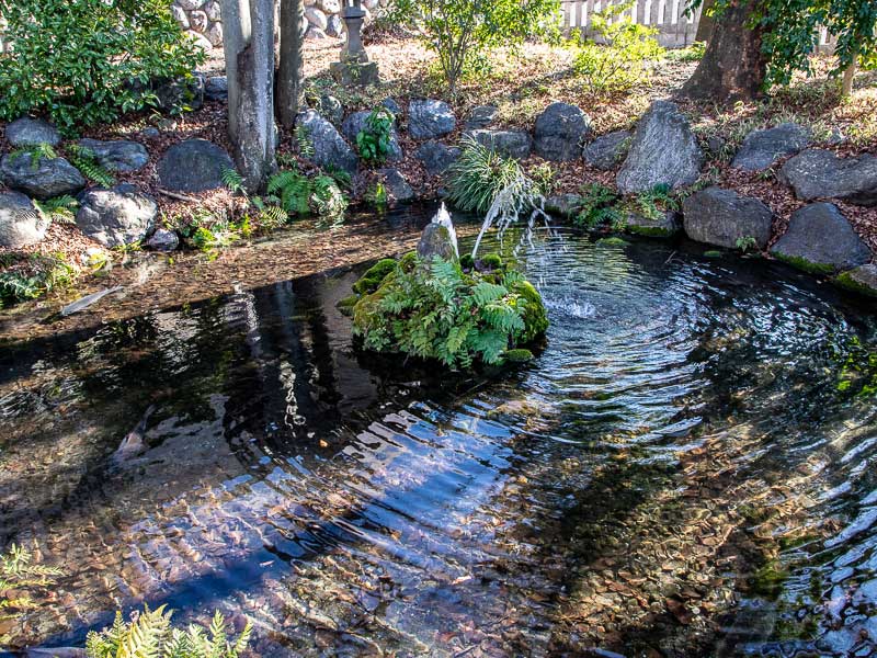 武甲山の伏流水が湧き出る「龍神池」