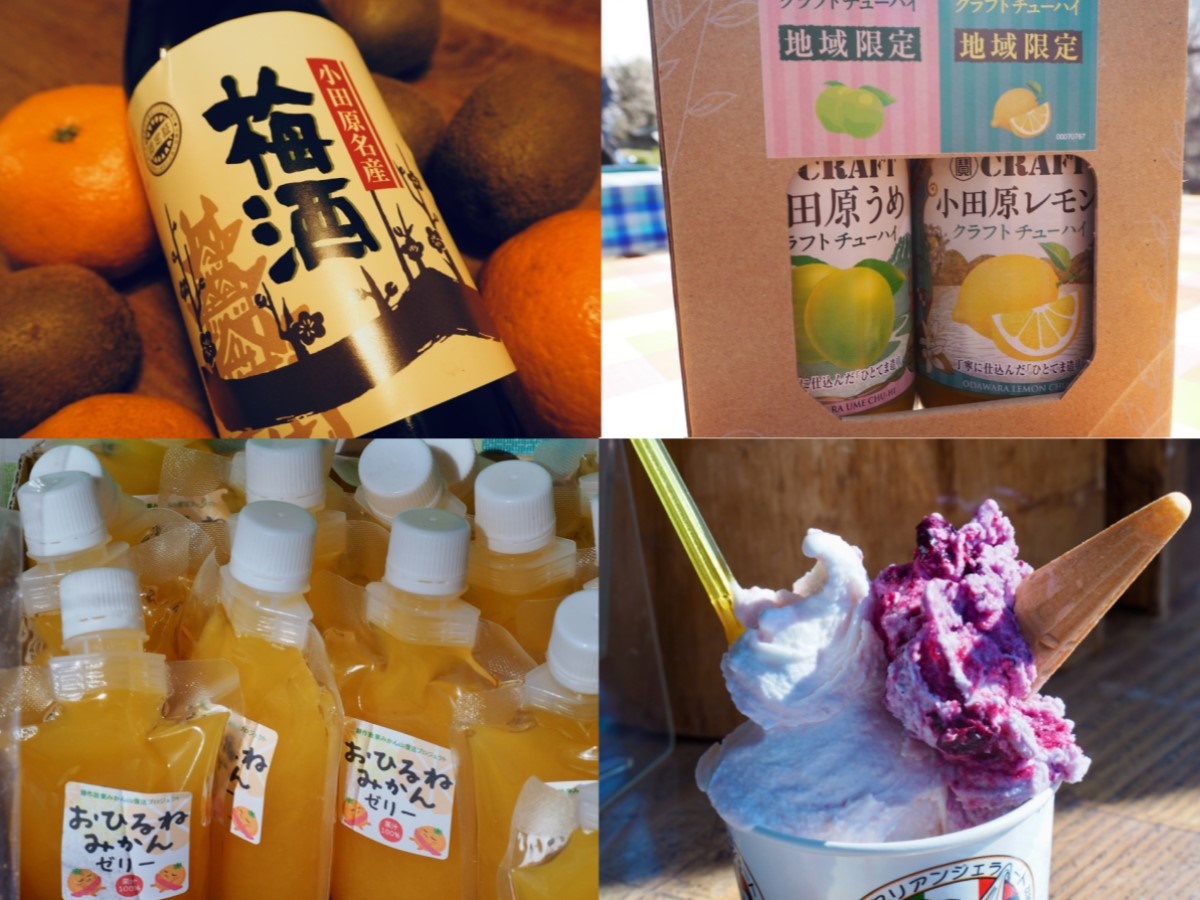 曽我梅林のお土産