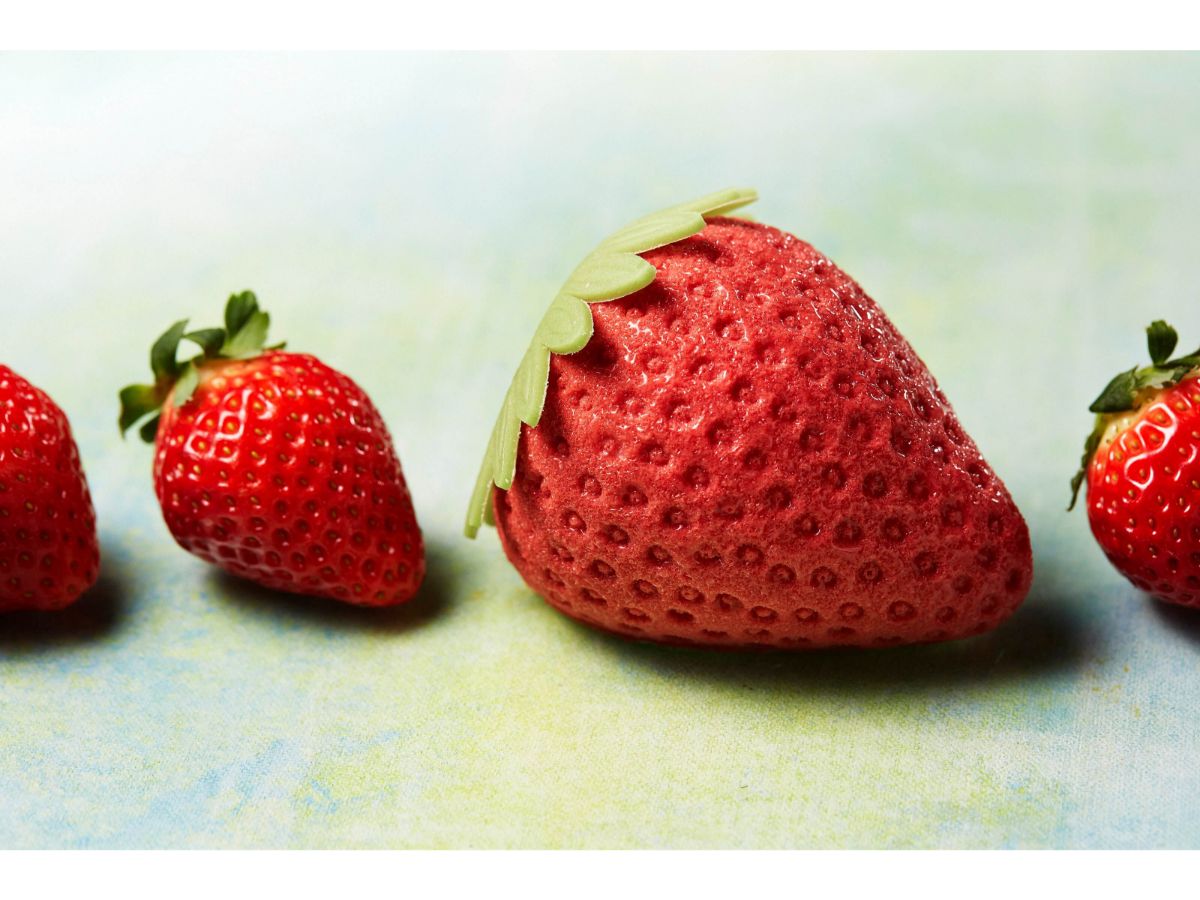 ストロベリーケーキ 650円（税込）／ピエール・ガニェール パン・エ・ガトー