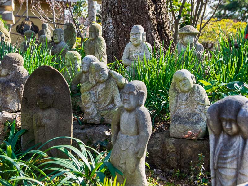 インスタ映えもする羅漢像