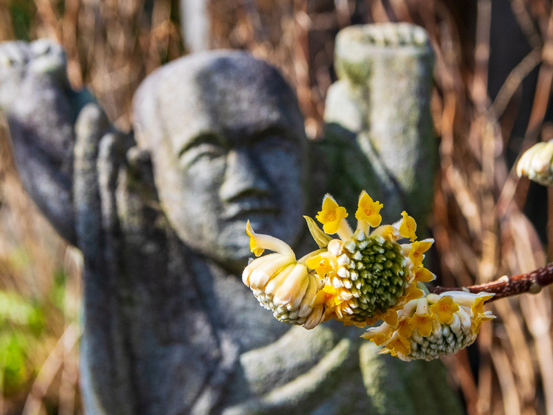 明日も頑張ろう！