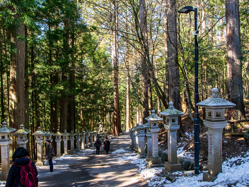 随身門から先はマイナスイオンがたっぷりあちありあそうな参道