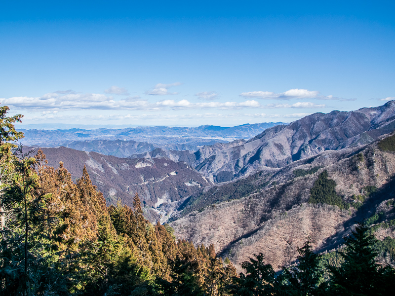 秩父の山々と街を望む絶景