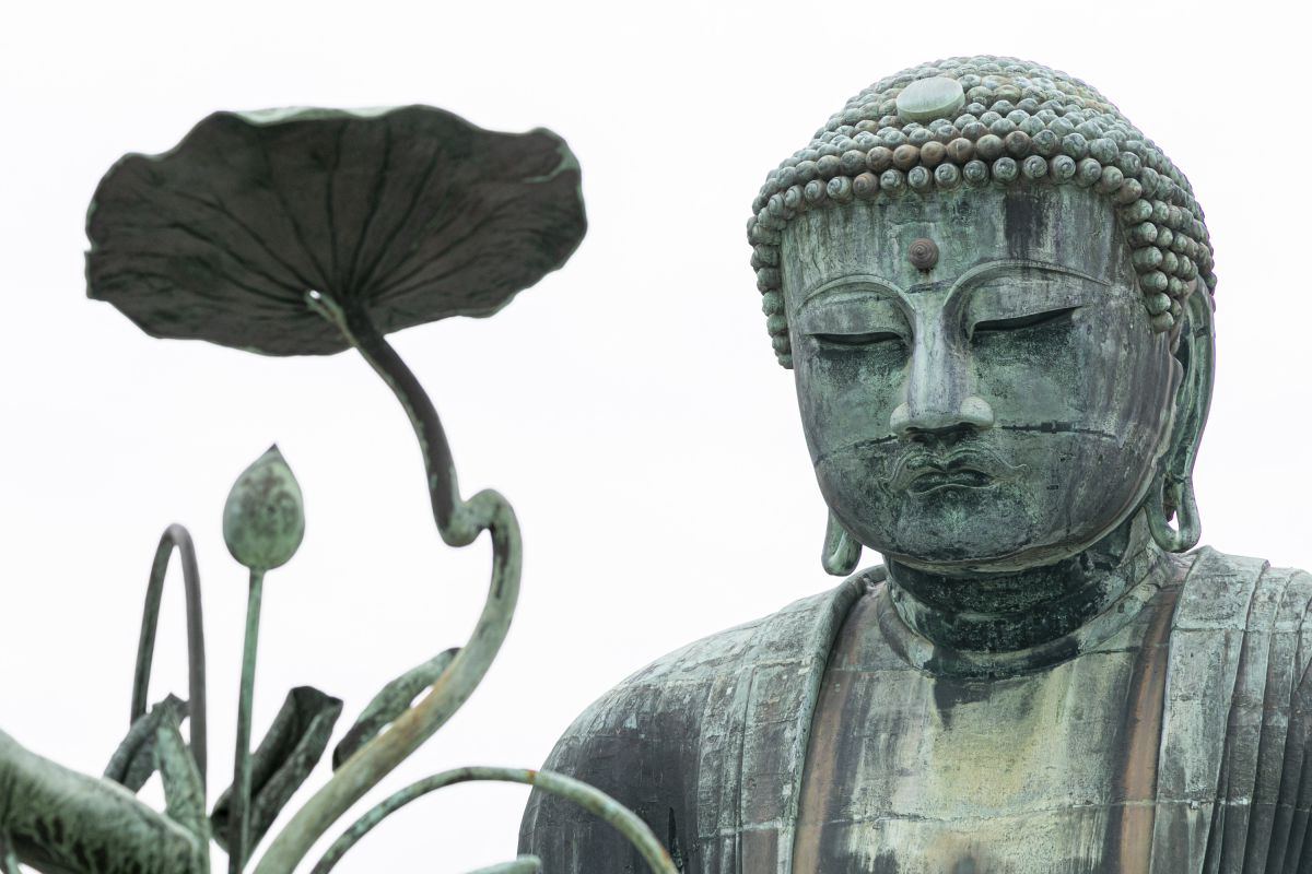 雅な印象の一枚に