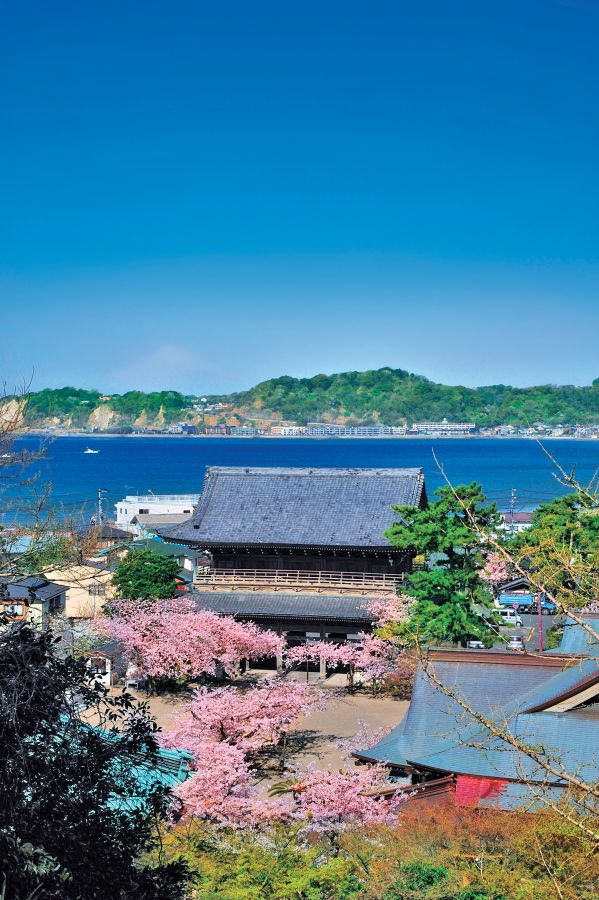 山門の上の特等席から絶景を満喫