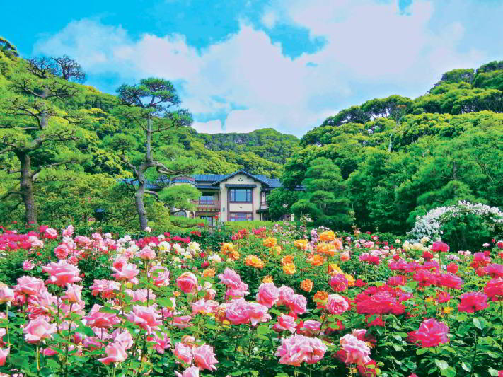 フォトジェニックで溢れてる！鎌倉三大洋館「鎌倉文学館」のステキポイントをご紹介