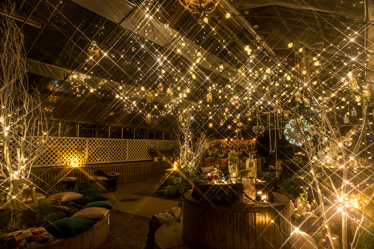 ※写真は前回開催時のものです。