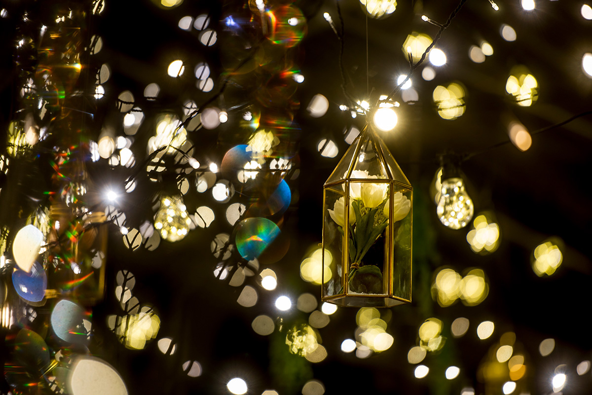 ※写真は前回開催時のものです。