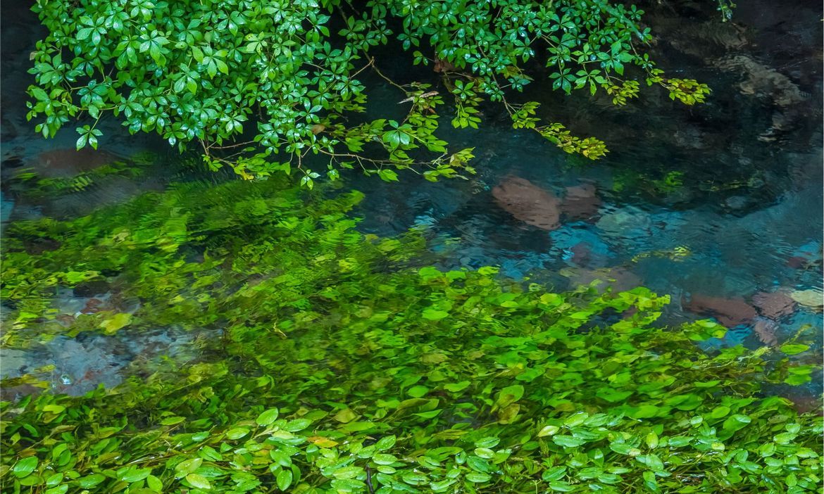 新緑の時期は、葉とのコントラストがきれい！