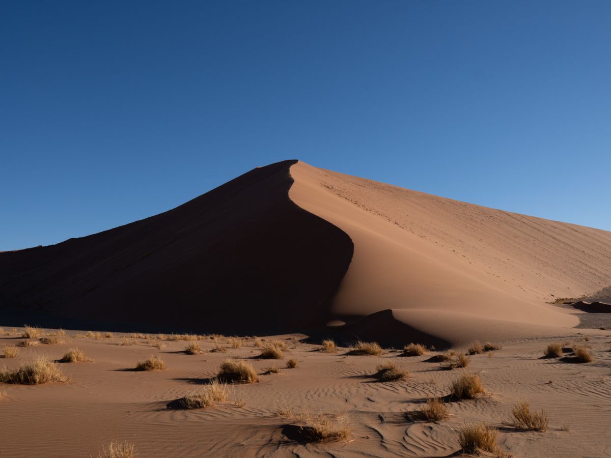 朝が苦手な方は夕方もおすすめ