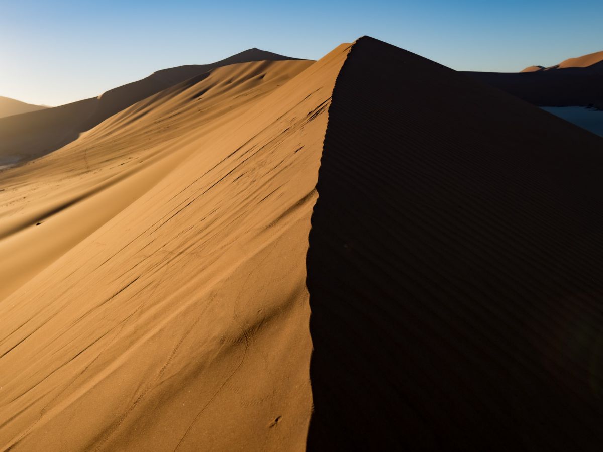 朝はコントラストが出る上、足跡もないのでより美しい