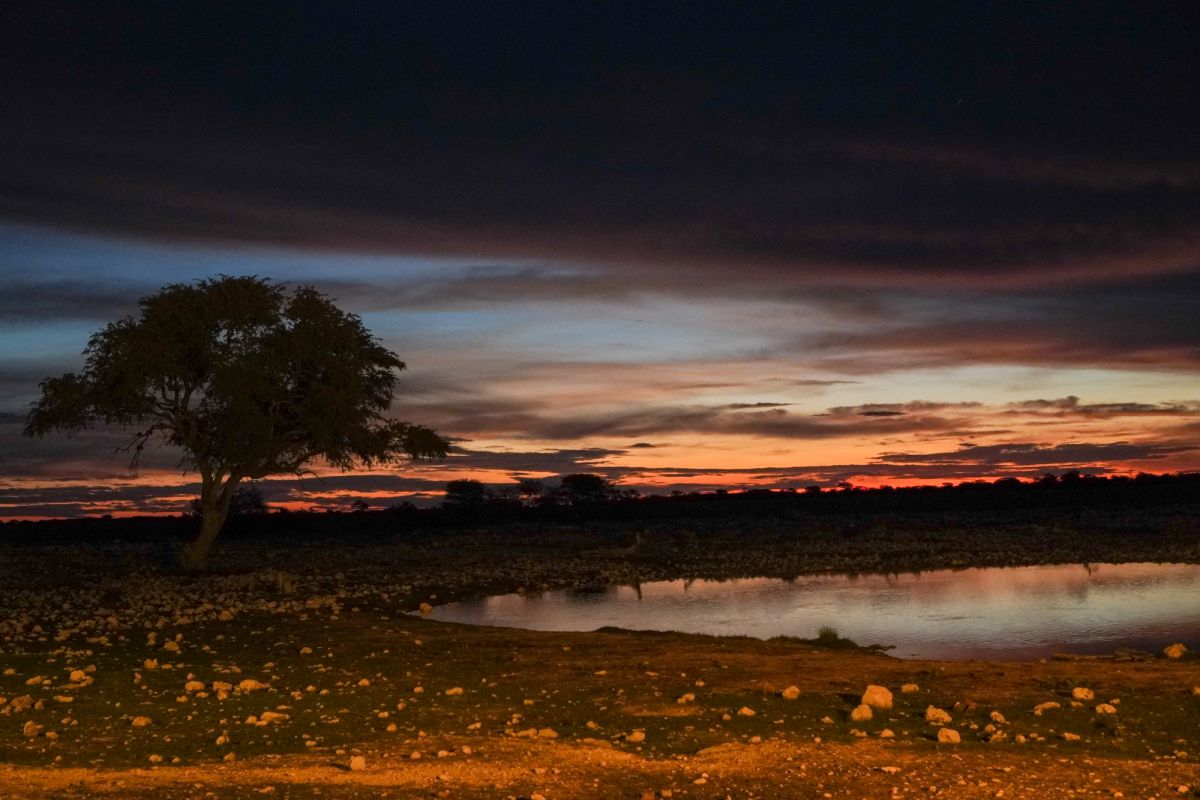 エトーシャ国立公園で見た夕陽