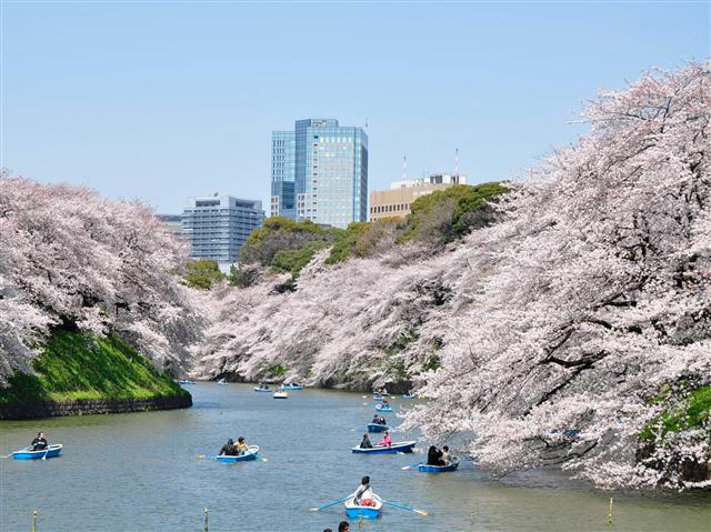 写真提供/千代田区観光協会